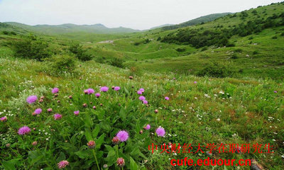 中國財經(jīng)大學(xué)在職研究生可以不考試么？